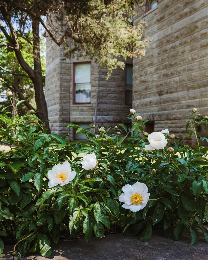 The Mansion At Elfindale Bed and Breakfast Springfield Buitenkant foto